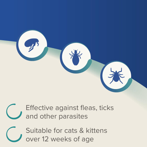 Beaphar Beaphar - Dimethicare Line-On Flea & Tick Control for Cats – 3 pipettes - Physic 2