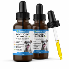 BUDDY'S BEST Twin Pack Dog Joint Support Plus | 50ml | Supports Healthy Joints & Mobility in Dogs | Natural Ingredients for Daily Wellness |