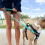 BullyBillows Double Ended Dog Lead - Multi-Functional Lead for Obedience or Dist 6