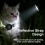 Cat GPS Tracker No Subscription Required Cat Collar Tracker Supports Android & i 2