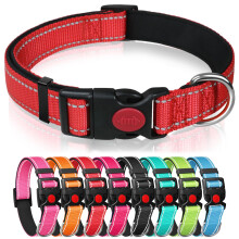 Reflective Nylon Dog Collar with Safety Buckle, Red, M
