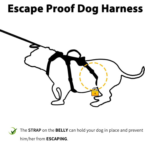 Huntboo Escape Proof Dog Harness Large, Anti-Pull Dog Harness with Handle 2