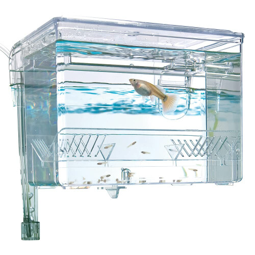 Fluval Fluval Hang-On Breeding Box, Medium, 1.1 Litre 2