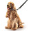 Beaphar Beaphar - Gentle Leader Head Collar for Medium Dogs - Training Aid - Stops Pulling On The Lead – Immediate Effect - Adjustable Comfortable F 4