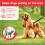 Beaphar Beaphar - Gentle Leader Head Collar for Medium Dogs - Training Aid - Stops Pulling On The Lead – Immediate Effect - Adjustable Comfortable F 5