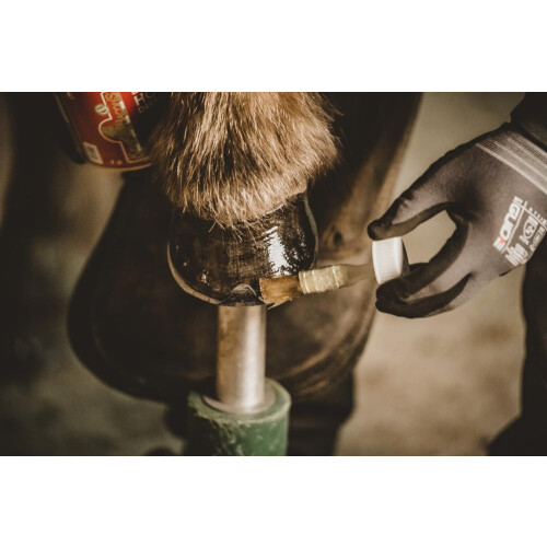 Kevin Bacon's Liquid Hoof Dressing, clear 2