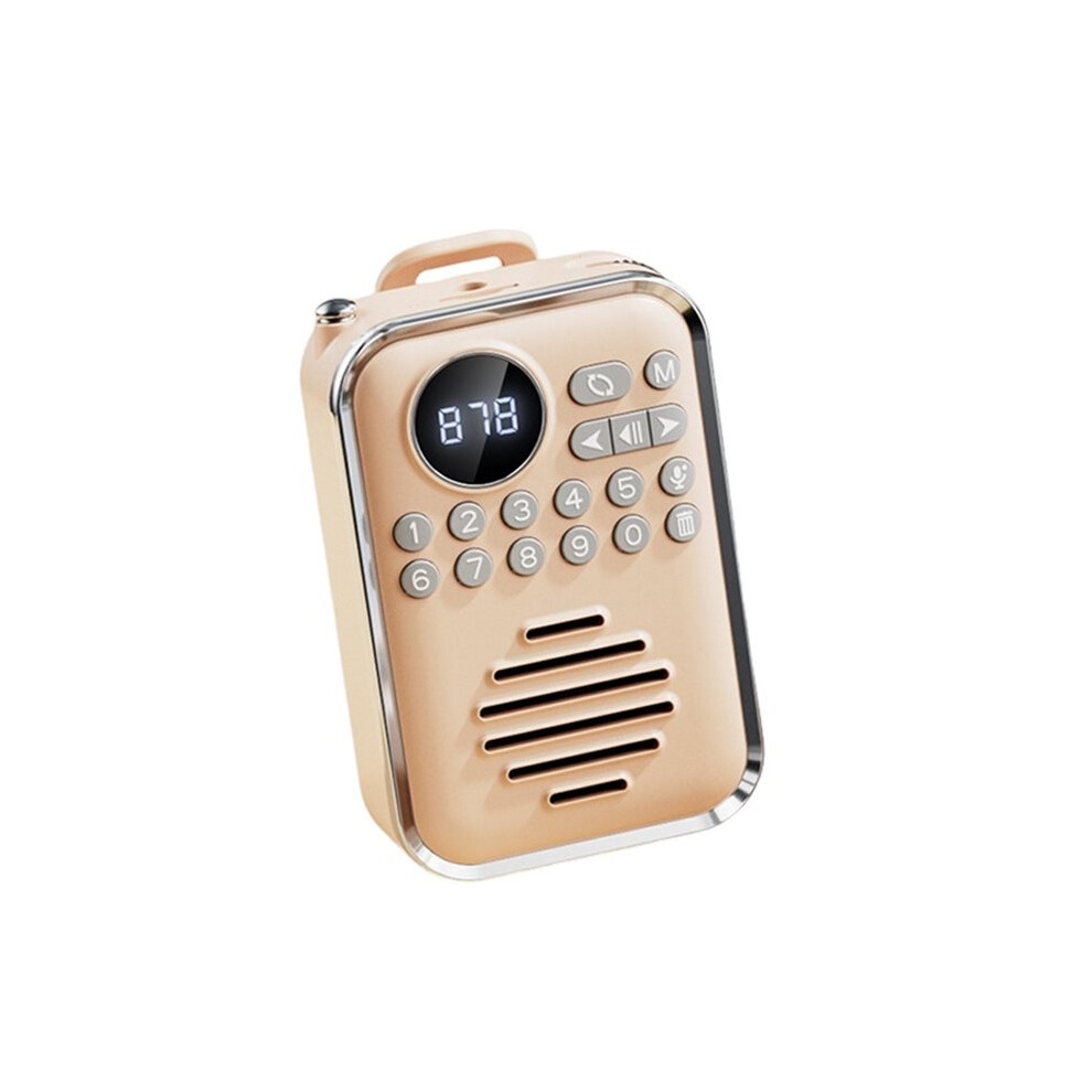 Fm Radio Wireless Speaker Portable Player Digital Radios Recevier Rechargeable Support Bt U Disk Tf Card 4712412695700