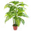 Leaf 100cm Large Fox's Aglaonema (Spotted Evergreen) Tree Artificial Plant 1