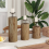 VidaXL vidaXL Candle Holder 3 pcs Natural Solid Teak wood 1