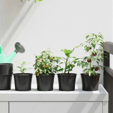 vidaXL Runder Blumentopf 50 stk. Schwarz Ø 10 x 8 cm Kunststoff
