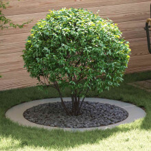 vidaXL suitable for Flat Tree Rings 5 pcs Silver Ã90 / 120 cm