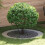 VidaXL vidaXL suitable for Flat Tree Rings 5 pcs Silver Ã90 / 120 cm 1