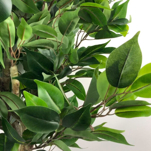 Leaf 110cm Artificial Evergreen Ficus Tree Gold Curve Planter 1
