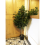 Leaf 110cm Leaf Realistic Artificial Ficus Tree / Plant  Copper Curve Planter 2