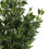 Leaf 110cm Artificial Evergreen Twist Ficus Tree Copper Curve Planter 3