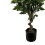 Leaf 110cm Artificial Evergreen Twist Ficus Tree Copper Curve Planter 7