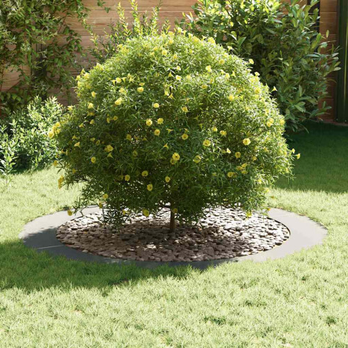 VidaXL vidaXL suitable for Flat Tree Rings 5 pcs Silver Ã90 / 120 cm 2