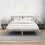 VidaXL vidaXL Bedside Table 2 pcs Concrete Grey 40.5 x 40 x 48 cm 4