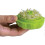 Chop garlic chopper, 1, Lime Green 3