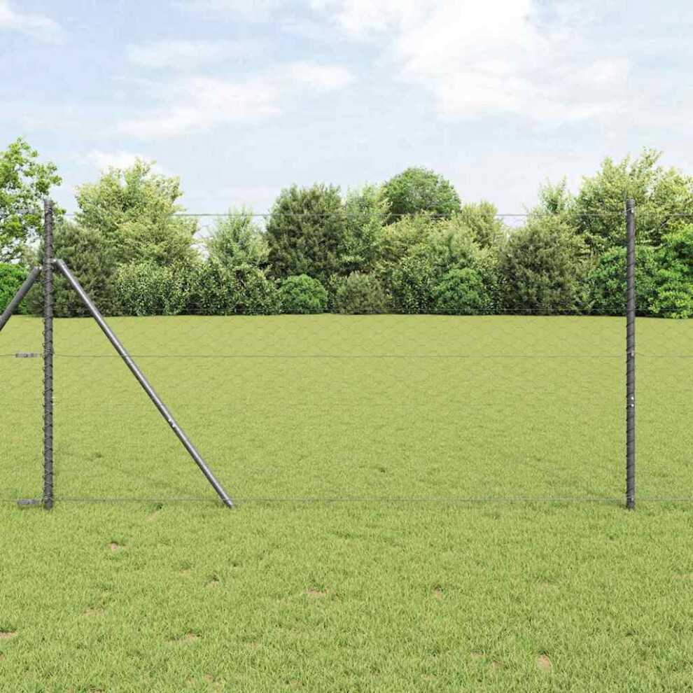 Vidaxl Ground Fix Welded Wire Fence 10 X 1.2 M (W X H)