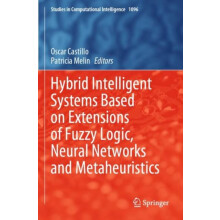 Hybrid Intelligent Systems Based on Extensions of Fuzzy Logic Neural N