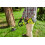 Ryobi RYOBI RB1840X 18V One Plus Lithium Plus 40Ah Compact Battery 2