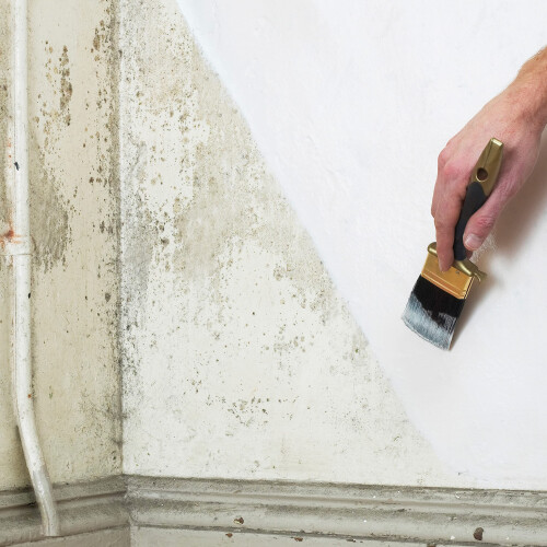 Johnstone's Johnstone's Paint to Cover Damp - White 2.5L 2