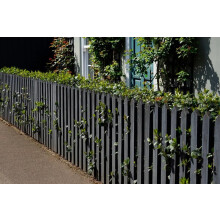 DUAYRA Garden Shades Paint Quick Drying Water Based For Garden Fence