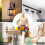 270 Pcs Assorted Wall Plugs Kit for Home Improvement and Decor Replace 5