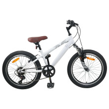 vidaXL Mountain Bike 24 Inches 6-Speed for 8-12 Years Old White