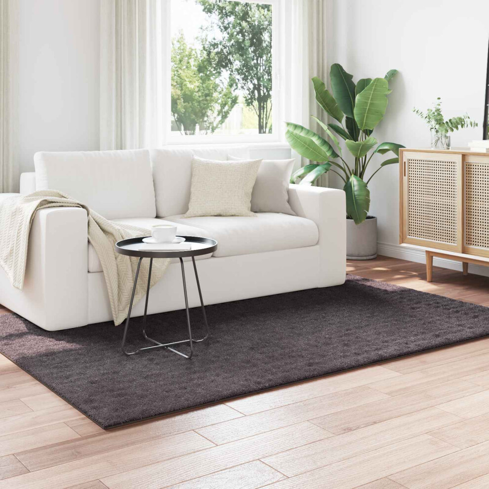 Vidaxl Area Rugs Rectangular Sirolo Anthracite 170 X 120 Cm Polyester