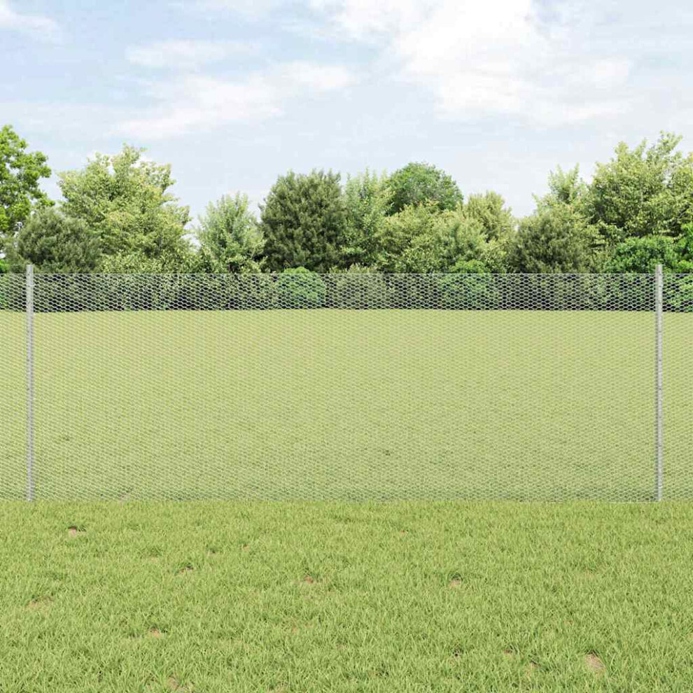 Vidaxl Welded Wire Fence 10 X 0.8 M (W X H) Hot-Dip Galvanised Steel