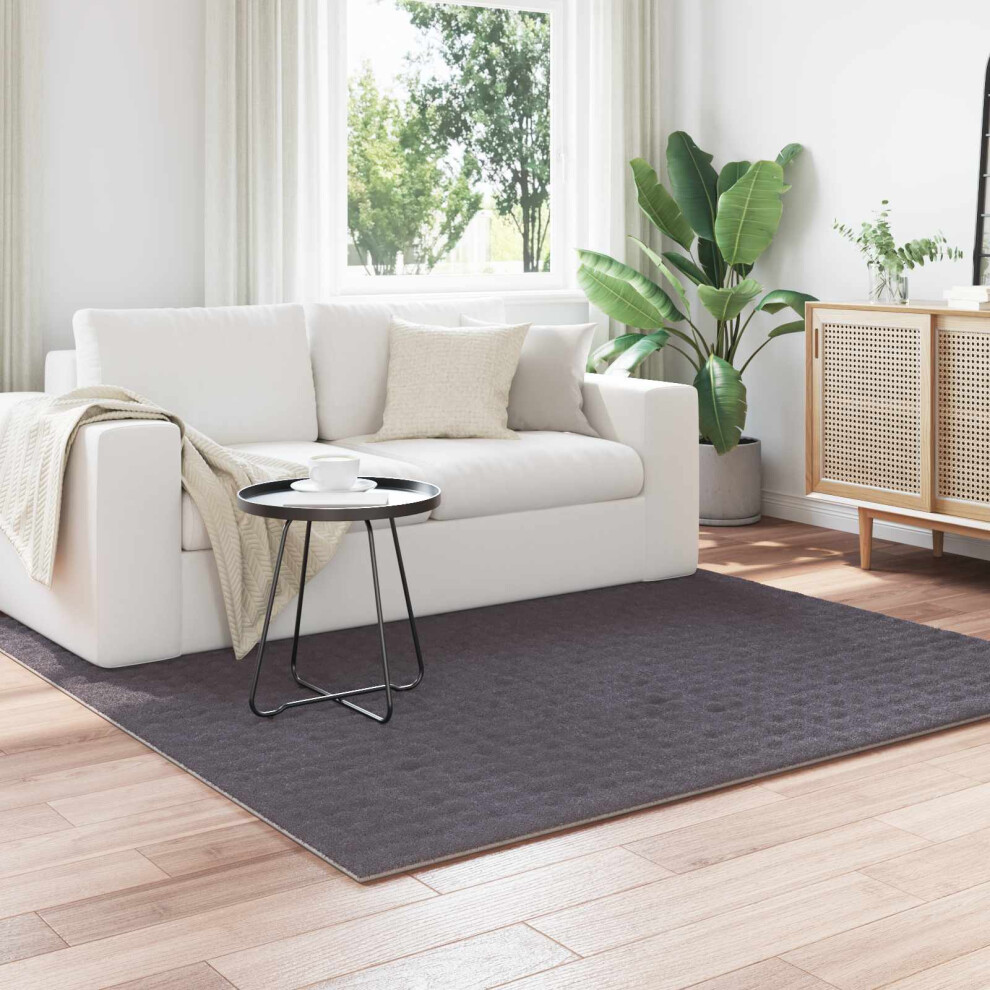 Vidaxl Area Rugs Square Sirolo Anthracite 120 X 120 Cm Polyester