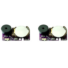 2 Peças Grilo Barulho Criador Prank Barulho Irritante Criador PCB Irritante Bipe Oculto Prank Sons Intervalos Ruído Roxo
