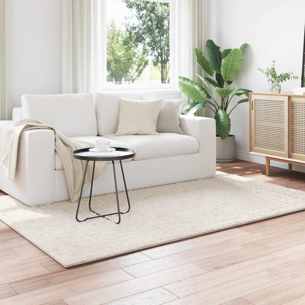 Vidaxl Area Rugs Rectangular Sirolo Cream 200 X 140 Cm Polyester