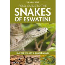 Field Guide to the Snakes of Eswatini by Rupert Wilkey Paperback Book