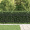 VidaXL vidaXL Ring Fence TILBURG Black 2