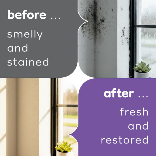 Undo Mould Remover Spray (500 ml) | Fast-Acting Active Powerful 1