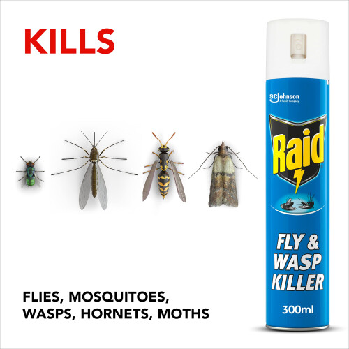 Raid Total Insect Killer Pack, Protect Against Flying and Crawling 2