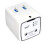 WIFI Hydroponic Equipment Intelligent Watering Device Double Pump Timed Automatic Drip Irrigation System 1