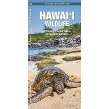 Hawaii Wildlife 2nd Ed by J.M. Kavanagh Paperback Book