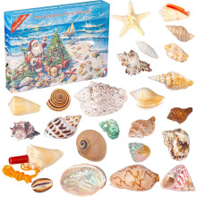 Calendario de Adviento de Juguetes para Niños de 3 a 12 Años Patrón Concha 24 Piezas — regalo santa claus