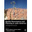 Spatial Governance and Planning in Latin America A Comparative Account 1
