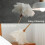 Ostrich Feather Dusters, Naturally Soft, Easy to Dust, Multi-Purpose Use, Solid Wood Handle, 41cm, White 5