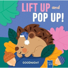Goodnight Lift Up and Pop Up Other Book