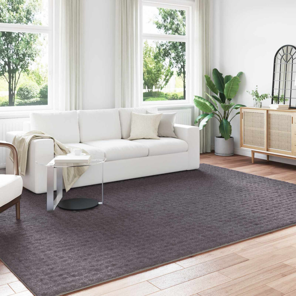 Vidaxl Area Rugs Rectangular Sirolo Anthracite 340 X 240 Cm Polyester