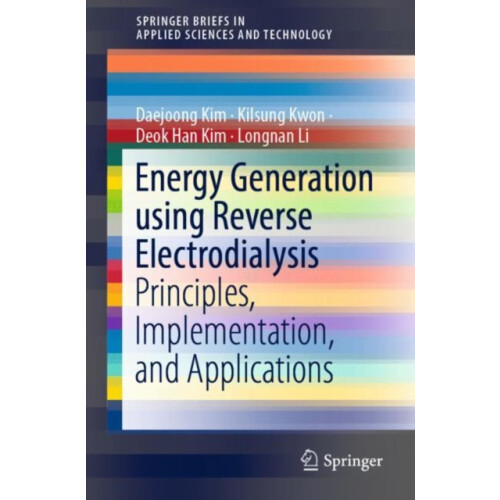 Energy Generation using Reverse Electrodialysis by Longnan Li Paperbac
