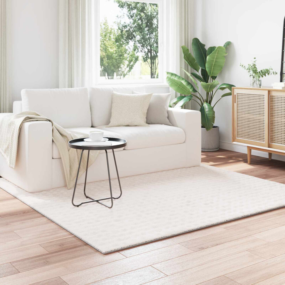 Vidaxl Area Rugs Square Sirolo Cream 120 X 120 Cm Polyester