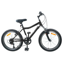 vidaXL Kids Bike 24'' 6-Speed for 8-12 Years Old Black