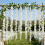 Simulated Wisteria Flowersx4 7